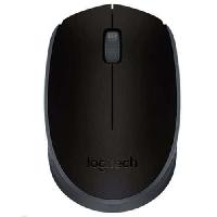 Optická bezdrátová myš Logitech Wireless Mouse M171, černá