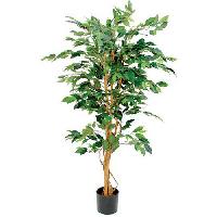(obrázek pro) Umělá rostlina Ficus Benjamina, zelená, výška 150 cm