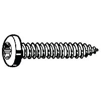 Samořezný šroub s nízkou válcovou hlavou s T-hvězdicí ISO 14585 C Nerezocel A2 ST2,9X16MM (obrázek pro) Samořezný šroub s nízkou válcovou hlavou s T-hvězdicí ISO 14585 C Nerezocel A2 ST2,9X16MM