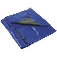 (obrázek pro) Polyetylenová plachta 4 x 5 m zelená/modrá