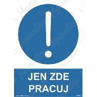 Jen zde pracuj, samolepka 210 x 297 x 0,1 mm A4 (obrázek pro) Jen zde pracuj, samolepka 210 x 297 x 0,1 mm A4